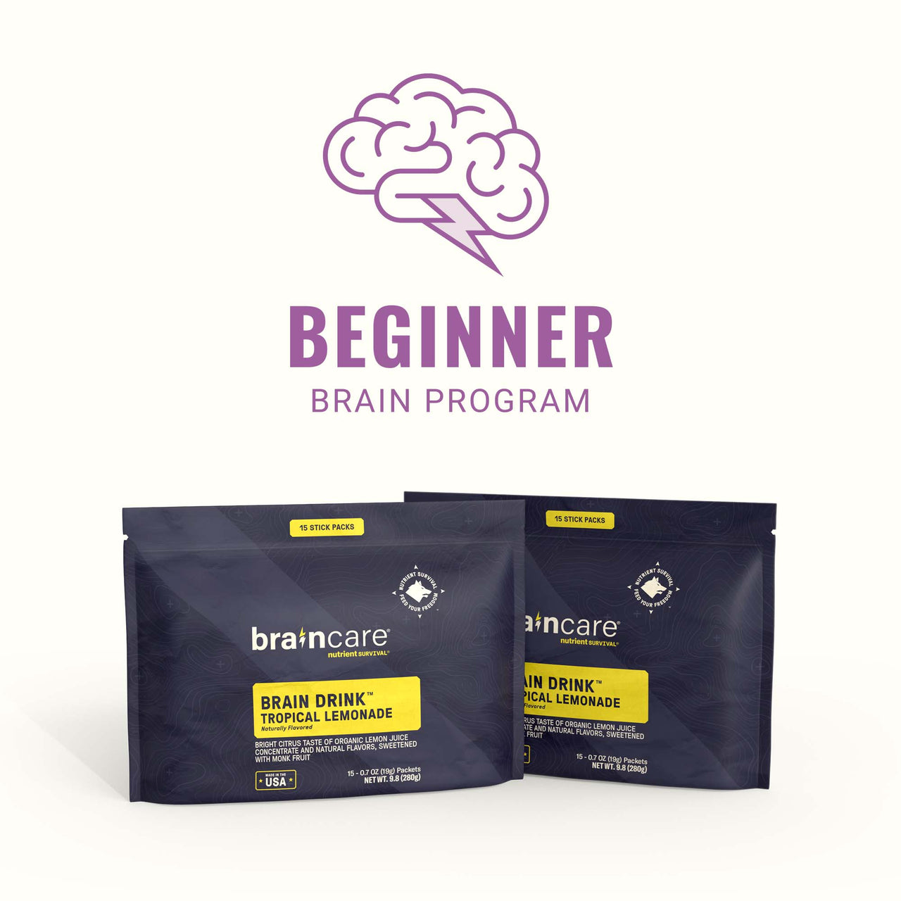 Beginner Brain Program